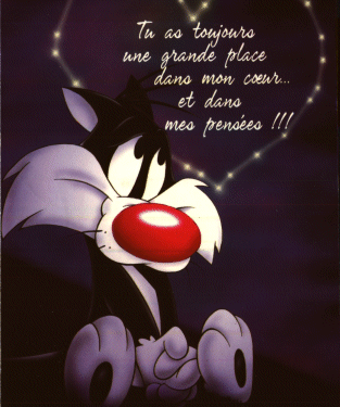 PENSER
