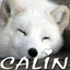 CALIN