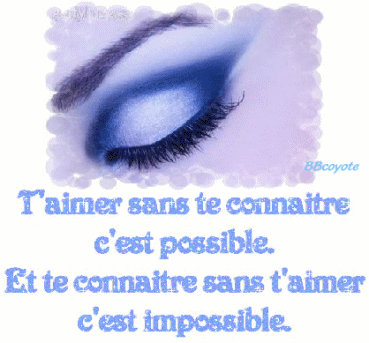 amour