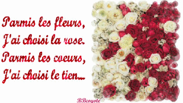 amour