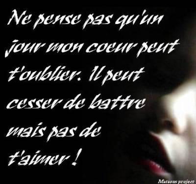 amour